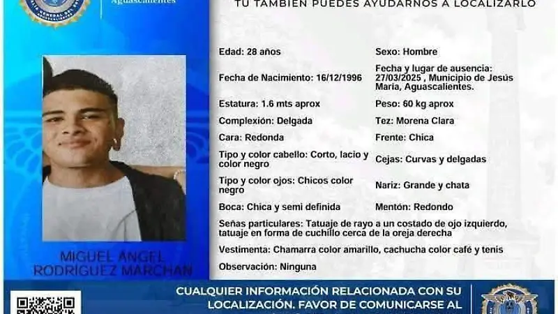 DESAPARECIDOS 3